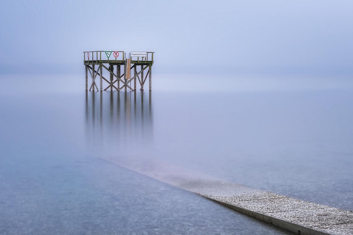 Bird's Platform