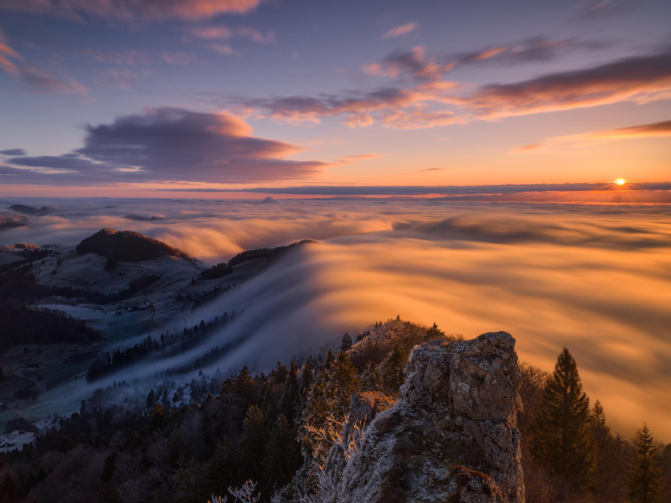 Early Fogwave