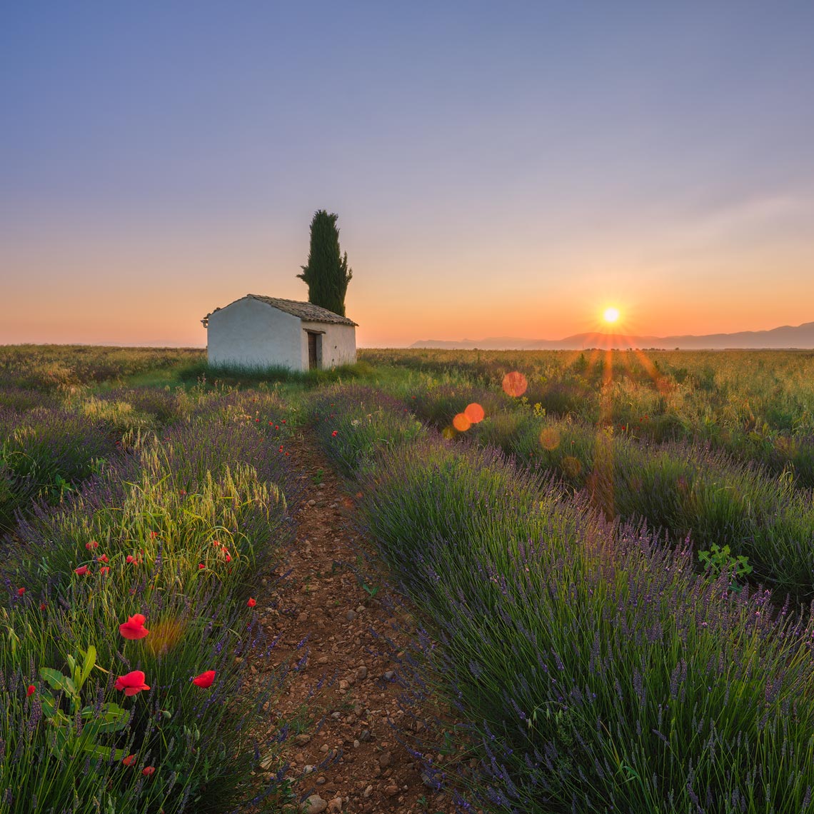 France