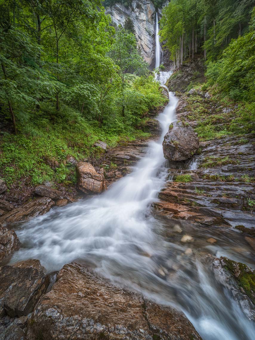 Into the Lush
